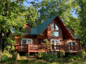 Beautiful Pet Friendly Branson Bear Cabin- private hot tub!